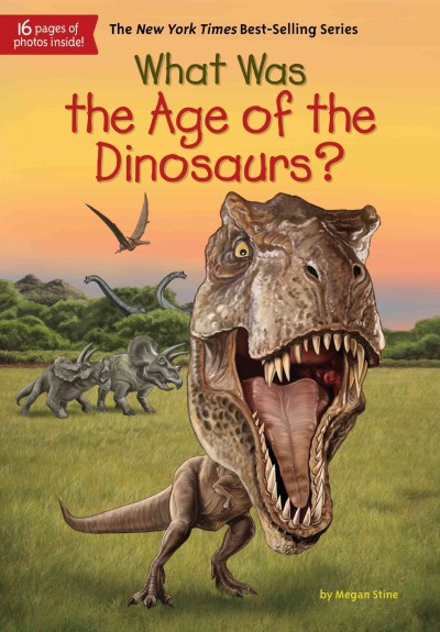 What was the age of the dinosaurs? / by Megan Stine ; illustrated by Gregory Copeland.