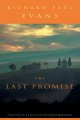 Go to record The last promise