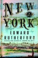 New York : the novel  Cover Image