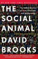 The social animal the hidden sources of love, character, and achievement  Cover Image