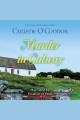 Murder in galway Home to ireland mystery series, book 1. Cover Image